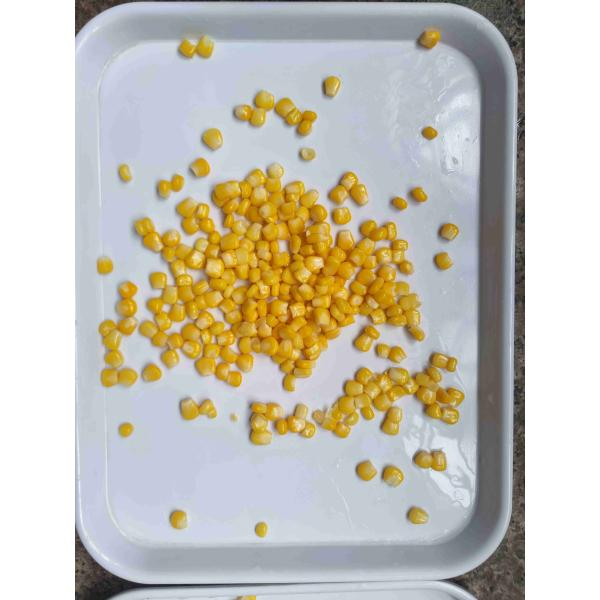 Quality Part Sweet Corn Kernel Canned Sweet Corn Loading Allergens May Contain Traces Of Soy And Wheat wholesale
