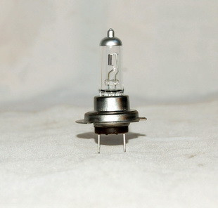 Quality H7 BULBS wholesale