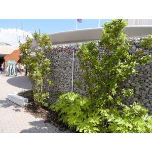 Box 1x1x2 River Bank Mesh Protection 200x100x50 Gabion Fence System