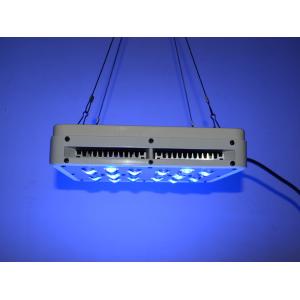 Cheap Apollo 40x5W multi-angle lens red and blue power LED Grow Lights greenhouse gardening for sale