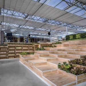 Reasonably Priced Glass Greenhouse Hydroponic System for Maximum Space