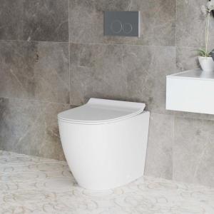 Rectangular Plastic HDPE Concealed Wall Hung Dual Flush Cistern WallHung Toilets