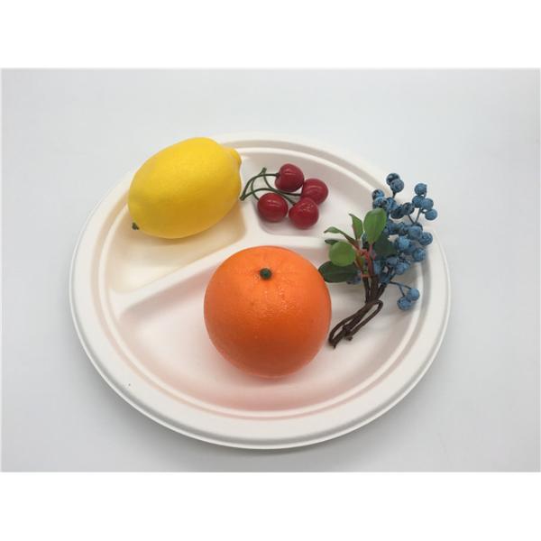 9" Biodegradable Sugarcane Bagasse Plates