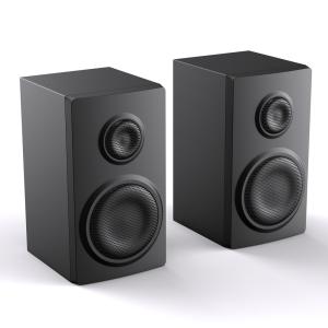 AC Powered Bookshelf Speaker Dual Audio Input Wired Home Bluetooth Speaker for