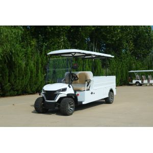 White 2 Seat Cargo Golf Cart with Lithium Battery CE Certification