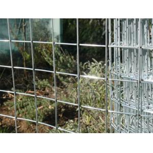 Low Carbon Steel Zinc Coating Galvanised Welded Wire Mesh Roll For Benefit