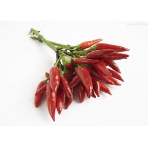 S17 Dried Red Chile Peppers Stick Shape Whole Chilli Pods Spices