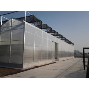 4m Bay Width Polycarbonate Greenhouse Installation Drawing and Galvanized Steel
