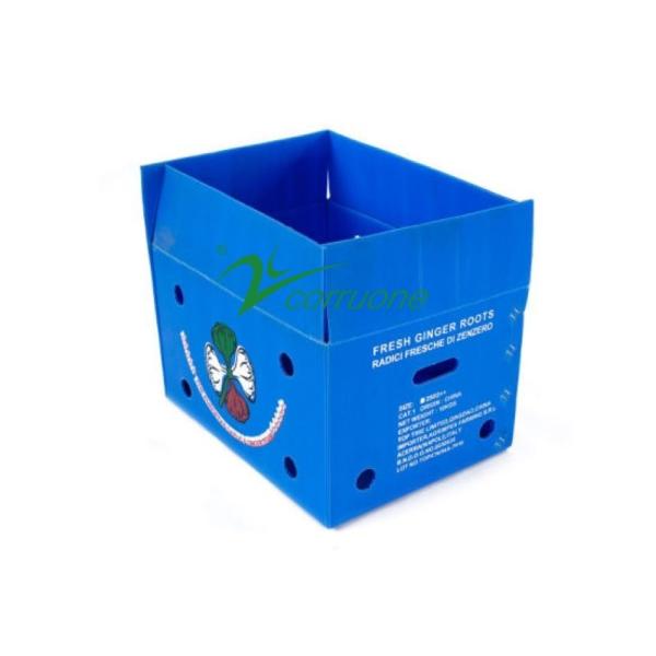 Quality Corruone waterproof Fruit Vegetable Packing PP Cartonplast Grapes Packing Boxes Plastic Broccoli Boxes Corrugated Ginger box wholesale