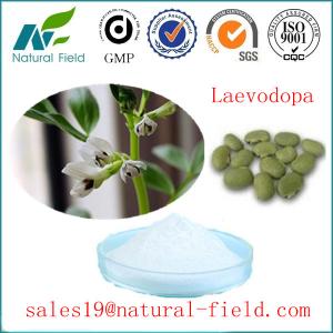 Cheap GMP factory mucuna pruriens extract levodopa(l-dopa) l-dopa powder CAS:59-92-7 for sale