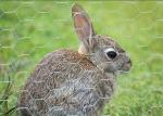 1X1 In 2mm Chicken Wire Mesh Roll 30m Rabbit Wire Mesh Fencing Hexagonal Wire