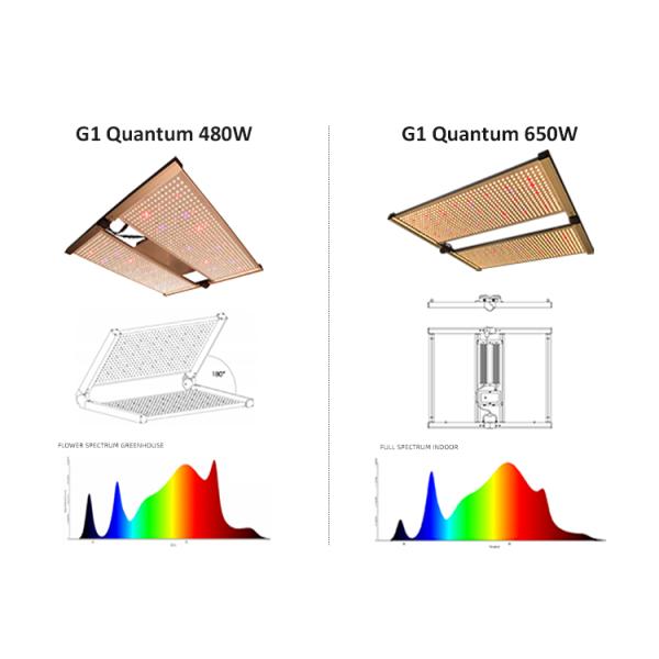 650w Hydroponic 4x4 LED Grow Light For Cannabis Growing