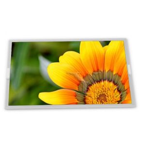 Custom ODM 12.1-Inch WLED WLED LCD Display Module NL8060BC31-47D with 800*600