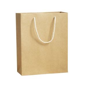 Embossed Printing Paper Bag 250gsm Printed Paper Carrier Bags