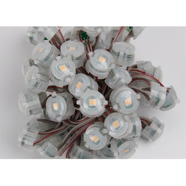 Quality Outdoor DC12V 20mm SMD 5050 IP67 Led Pixel Christmas Lights 2000mcd wholesale