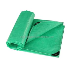 Rainproof Tarpaulin with Customized Color and 140 gsm Directly Sold by the