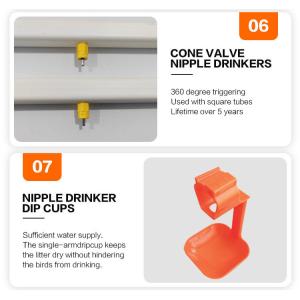 Water Drip Cups Of Chicken Nipple Drinker Automatic For Poultry Equipment