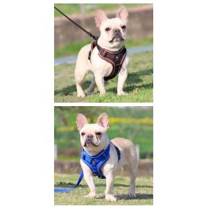 Leash for small dogs and cats with reflective breathable vest pet harness