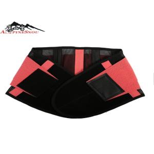 Private Label Back Brace Fitness Sports Support Waist Band Color Customization