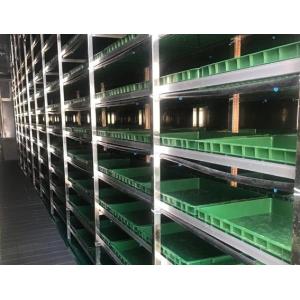 Intelligent Temperature Control Juxiang Leafy Vegetable Container House Heating