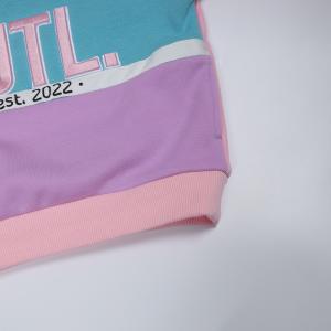 3D Embroidery Pullover Fleece Sweatshirt With Patchwork Color