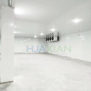 China 600 Sqm -22 Degree China Fish and Meat Cold Room with Polyurethane Panel on sale