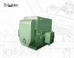 11000v Variable Speed Three Phase Asynchronous Motor IP55