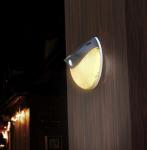 Solar LED Wall Light with PIR Motion Sensor and Daylight Sensor IP65 Waterproof
