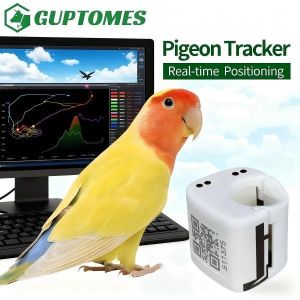 Mini 5.4g GPS Pigeon Tracker, Real-time Positioning Locator For Racing Birds,