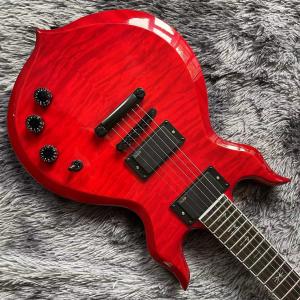 Custom Zakk Wylde Audio in Kinds Color Electric Guitar with Bound Ebony