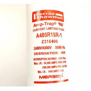 A480R18R-1 4800V 9F60 R-Rated MEDIUM VOLTAGE Fuse Motor Protection fuses