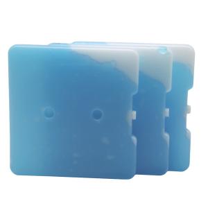 Custom Hard Plastic Material Non-Toxic Reusable Ice Pack For Cake Keep Fresh