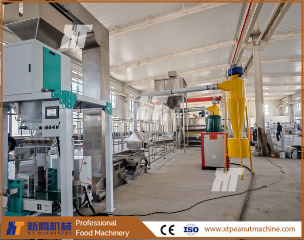 Quality PLC Control Peanut Roasting And Blanching Line Blanched Peanut Processing Plant Blanched Peanut wholesale