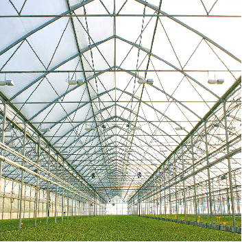 Easy To Assemble Multi Span Greenhouse For Growing Vegetables And Flowers