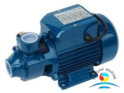 Quality CWX Series Marine Water Pump , Self - Priming Peripheral Vortex Pump wholesale