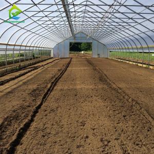 10-100m Length Broccoli Polytunnel Foil Greenhouse With Metal Frame