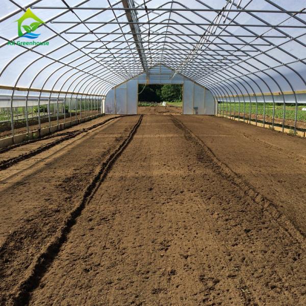 Quality 10-100m Length Broccoli Polytunnel Foil Greenhouse With Metal Frame wholesale