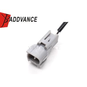 Custom Automotive Grey 2 Pin Male Connector Waterproof Wire Harness For Car
