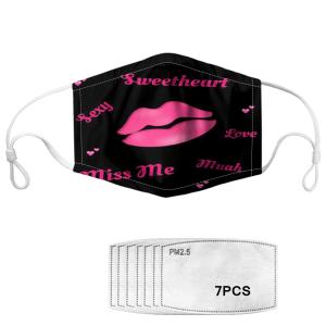 Replaceable PM2.5 Filter Reusable Face Mask