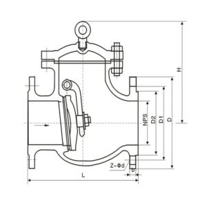 API Forging Check Valve