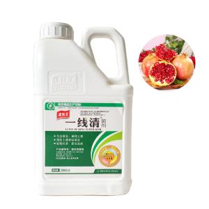 Water Soluble Granular Soil Conditioner Seaweed Organic Fertilizer