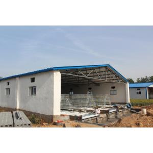 200 Chickens A Type Baby Chick Cage Include Automatic Drinking System