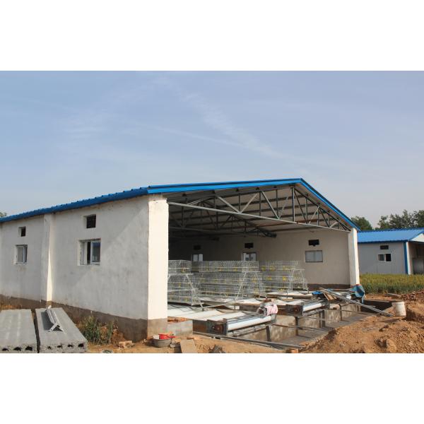 Quality 200 Chickens A Type Baby Chick Cage Include Automatic Drinking System wholesale