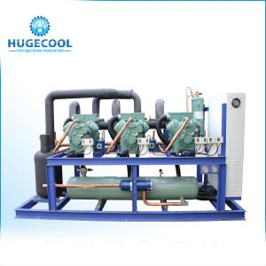Commercial Commercial Freezer Compressor Compact Structure With Good Looking