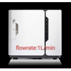 Compact Movable 5L/Min PSA Oxygen Concentrator