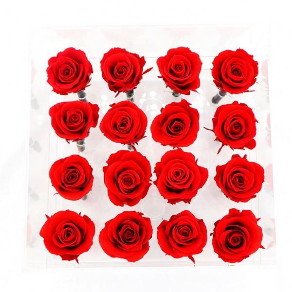 Quality Customized Color Everlasting Rose , New Year Love Real Preserved Roses For Crafts wholesale