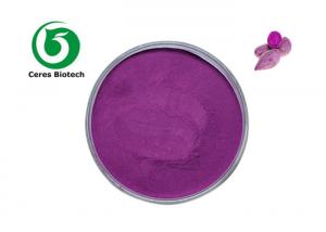 China Best Price High Quality Dried Purple Potato Powder on sale