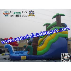 Bounce House Charming Inflatable Slide , Kids Inflatable Water Slides Pool