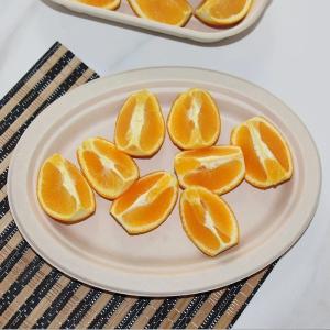 Fruit Eco Compostable Sugarcane Plates Round Biodegradable Sugarcane Bagasse