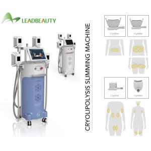 Cryotherapy Fat Burner Reduction Losing Weight Freeze Machine Weight Loss